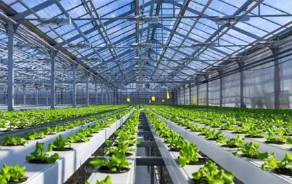 喜報！山東省設施園藝智慧農業裝備重點實驗室獲批